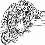 jaguar méxico colorear2