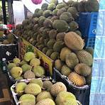 famous durian4