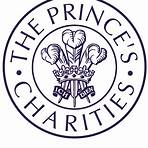 the prince's trust charity2