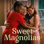 sweet magnolias new season3