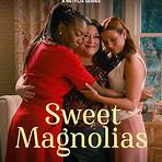 sweet magnolias season 33