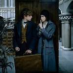 fantastic beasts and where to find them movie4