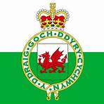 flag of wales history5