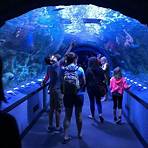 What is Great Lakes Aquarium?2