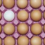 Are cage-free eggs really better?2