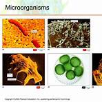 carrier definition in microbiology powerpoint format download3