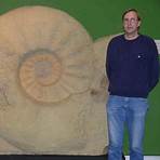ammonite fossil2