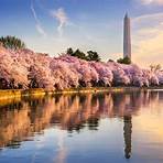 when is the best time to visit washington dc weather2