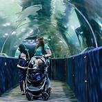 What is Great Lakes Aquarium?4