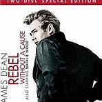 Rebel Without a Cause filme4