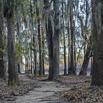 Caddo Lake State Park2