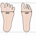 foot in cm1