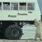 The Polar Bears of Churchill, with Ewan McGregor Film1