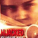 Hijacked: Flight 2854