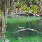 quais os parques de orlando1