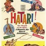 Hatari!3