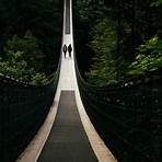 capilano suspension bridge park3