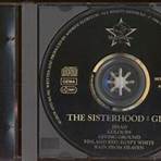 Gift The Sisters of Mercy3