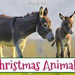 What animals are associated with Christmas?2
