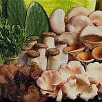 mushroom farm2