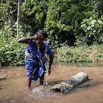 how many people died in the congo basin located1