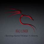 kali linux wallpaper4