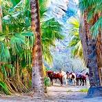 palm springs sightseeing4