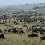 kenia nationalparks1