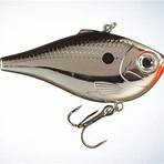 What makes a good fishing lure?2