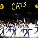 cats musical5