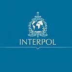 interpol significado1