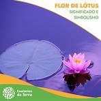 flor de lotus simbolo1