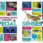 what are some interesting facts about animals book1