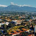 pomona college admissions4