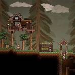 What are the different types of multiplayer environments in terraria?1