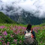 Valley of Flowers1
