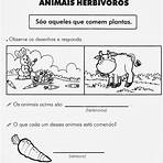 animais carnívoros herbívoros e onívoros atividades1