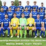 tsg weinheim fußball1