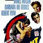 Caught (1949 film) filme4