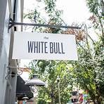 The White Bull1