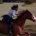 best horse racing films2