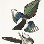 John James Audubon3