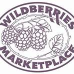 wildberries marketplace1