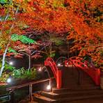 京都圓山公園 紅葉3