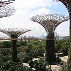 gardens by the bay1