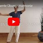 qi gong wirkungen2