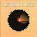 the beach boys músicas1