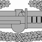 what is an insignia in the army mean2