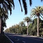Palo Alto, Califórnia, Estados Unidos1