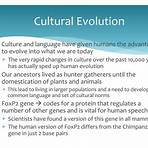 human evolution ppt3